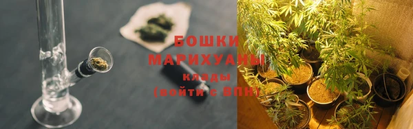 марки nbome Богданович
