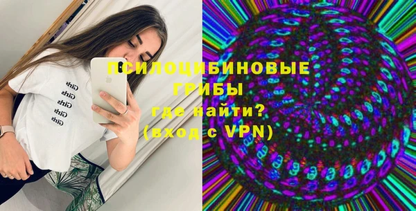 ALPHA-PVP Богородицк