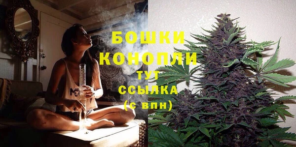 МДПВ Богородск