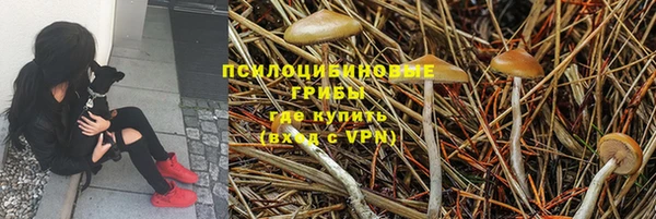 ALPHA-PVP Богородицк
