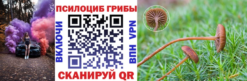 Галлюциногенные грибы прущие грибы Малая Вишера